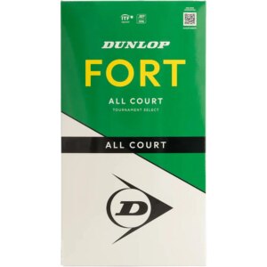 Dunlop - Dunlop Fort All Court 2x4er PET