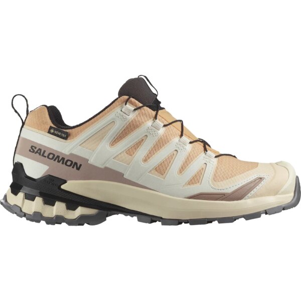 Salomon - Salomon XA PRO 3D V9 GORE-TEX® hazelnut