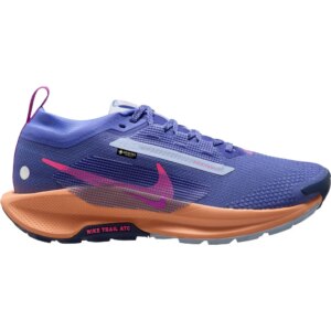 Nike - Nike Pegasus Trail 5 GORE-TEX Traillaufschuhe sapphire