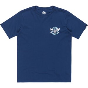 Quiksilver - Quiksilver EV Share The Stoke T-Shirt Jungen estate blue