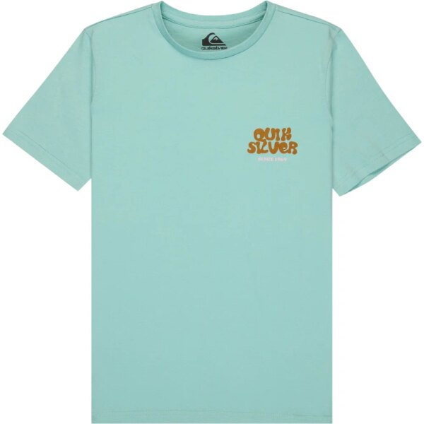Quiksilver-Quiksilver-Fruits-Tide-T-Shirt-Jungen-blue-haze-blau Quiksilver - Quiksilver Fruits Tide T-Shirt Jungen blue haze