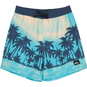 Quiksilver - Quiksilver EVD Printed Jungen aqua thermotropics