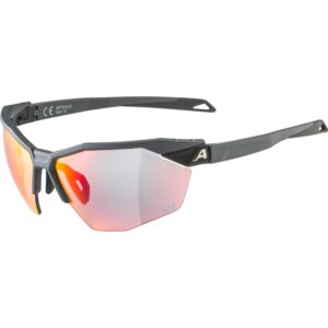 Alpina - Alpina Twist Six HR QV Sonnenbrille grey matt