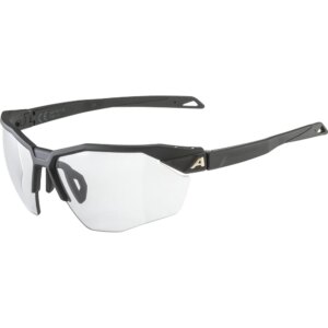 Alpina - Alpina Twist Six HR V Sonnenbrille black matt