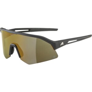 Alpina - Alpina Sonic HR Q Sonnenbrille black matt