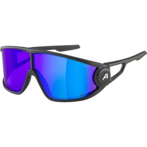 Alpina - Alpina Legend Q-Lite Sonnenbrille black matt