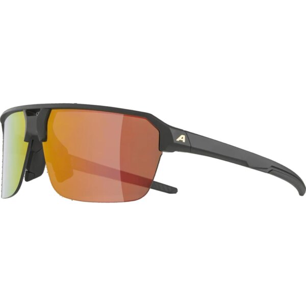 Alpina - Alpina Swift HR Sportbrille black matt