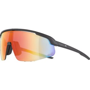 Alpina - Alpina Turbo Pro Q-Lite Sportbrille white matt