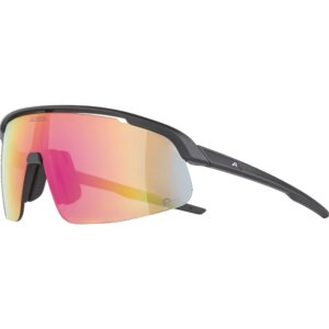 Alpina - Alpina Turbo Pro S Q-Lite Sportbrille black matt