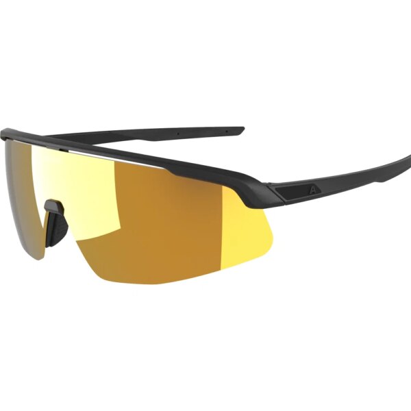 Alpina-Alpina-Turbo-Pro-S-Sonnenbrille-schwarz-schwarz Alpina - Alpina Turbo Pro S Sonnenbrille schwarz