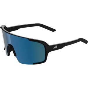 Alpina - Alpina Lumin Sportbrille black matt
