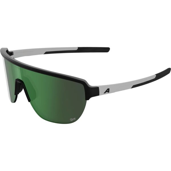 Alpina-Alpina-Ram-2.0-Q-Lite-Sportbrille-black-schwarz Alpina - Alpina Ram 2.0 Q-Lite Sportbrille black