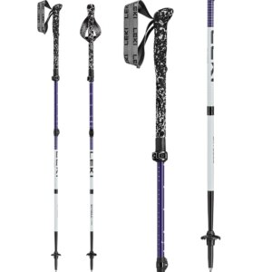 LEKI - LEKI Skysolo FX Carbon S weiß