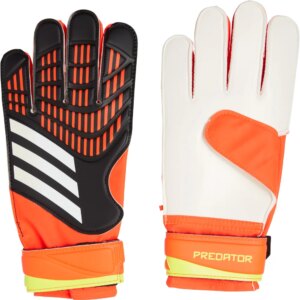 adidas - adidas Predator Training black