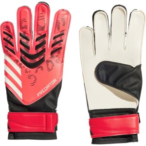 adidas - adidas Predator Training lucid blue