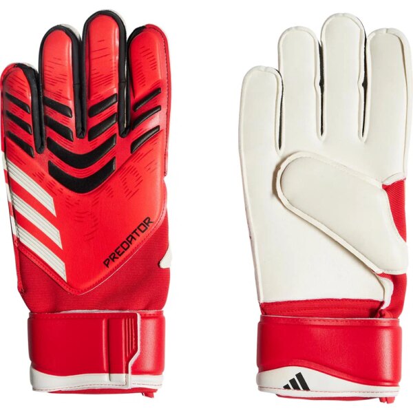 adidas-adidas-Predator-Match-pure-ruby-rot adidas - adidas Predator Match pure ruby