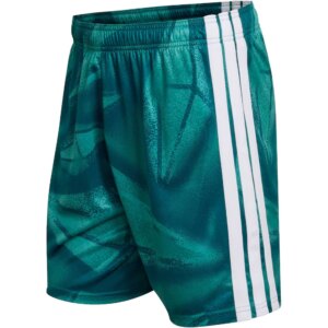 adidas - adidas Deutschland 26 Torwart Heimshorts active green