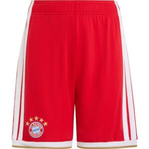 adidas - adidas FC Bayern München 26/27 Heimshorts Kinder better scarlet
