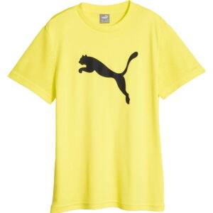 Puma - Puma Active Sports Poly Cat T-Shirt Jungen fluro yellow pes