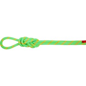 Mammut - Mammut 8.0 Alpine Dry 60m Seil neon green