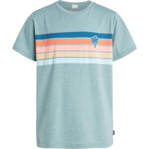 Protest - Protest Ole Jr T-Shirt Jungen arcticgreen