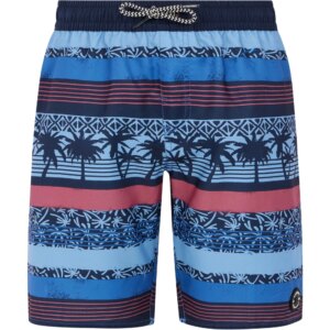 Protest - Protest Frisby Jr Badehose Jungen gladio blue