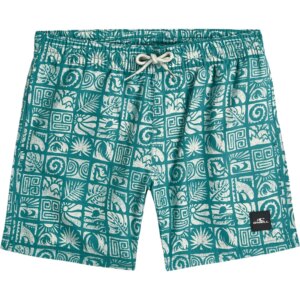 O'Neill - O'Neill Print Kinder blue briks