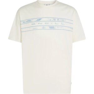 O'Neill - O'Neill Flower Stripe T-Shirt snow white
