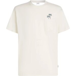 O'Neill - O'Neill Chest Pocket T-Shirt snow white