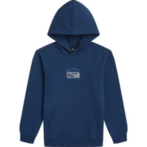 O'Neill - O'Neill Graphic Hoodie Jungen english evening