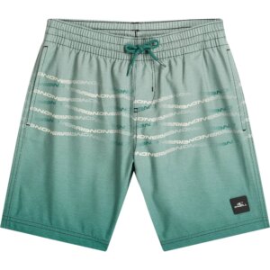 O'Neill - O'Neill First Jungen boys green heritage flip flop