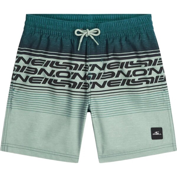 ONeill-ONeill-Logo-Stripe-Jungen-boys-green-heritage-oneill-gruen O'Neill - O'Neill Logo Stripe Jungen boys green heritage o'neill