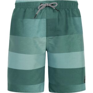 Protest - Protest James JR Beachshorts Jungen dark seal