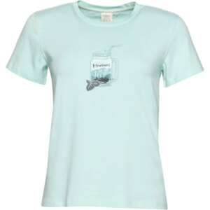 Chillaz - Chillaz Iseo Mountains To Go T-Shirt mint