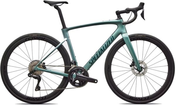 0196625263453 Specialized Roubaix Expert - 28 Zoll - Diamant - 2026