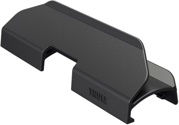 0197074761804 Thule Chariot Aion Clip
