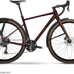 Raymon Territ Pro Street - 28 Zoll - Diamant - 2026
