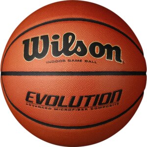 Wilson - Wilson Evolution Game braun