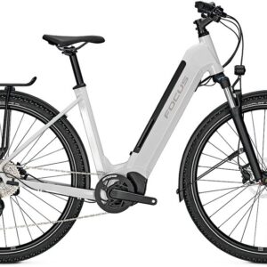 Focus Planet2 6.8 - 625 Wh - 29 Zoll - Tiefeinsteiger