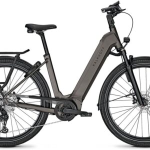 Kalkhoff Endeavour 5 Advance + ABS - 625 Wh - 29 Zoll - Tiefeinsteiger