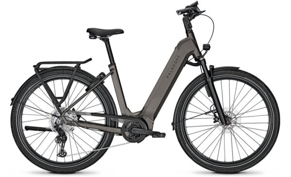 4000990450072 Kalkhoff Endeavour 5 Advance + ABS - 625 Wh - 29 Zoll - Tiefeinsteiger