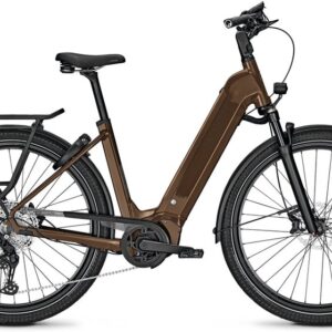 Kalkhoff Endeavour 5 Advance + - 625 Wh - 29 Zoll - Tiefeinsteiger