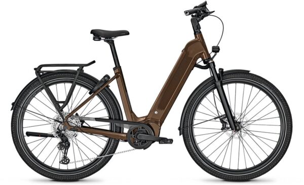 Kalkhoff Endeavour 5 Advance + - 625 Wh - 29 Zoll - Tiefeinsteiger