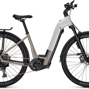 Focus Planet2 6.8 ABS - 625 Wh - 29 Zoll - Tiefeinsteiger