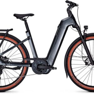 Kalkhoff Entice 5 Season 2 - 800 Wh - 29 Zoll - Tiefeinsteiger - 2026