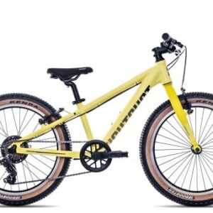Eightshot COADY 20 SL 2025