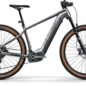 Centurion Backfire E R2700i - 750 Wh - 29 Zoll - Diamant