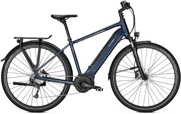 4042127133779 Raleigh Kent 9 - 500 Wh - 28 Zoll - Diamant
