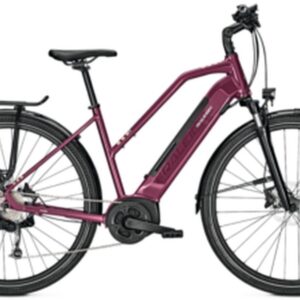 Raleigh Kent 9 - 500 Wh - 28 Zoll - Trapez
