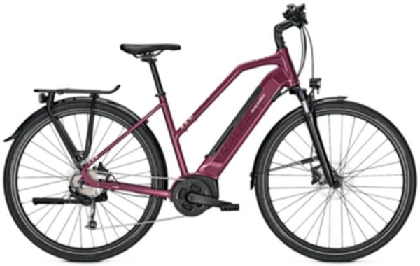 4042127138095 Raleigh Kent 9 - 500 Wh - 28 Zoll - Trapez